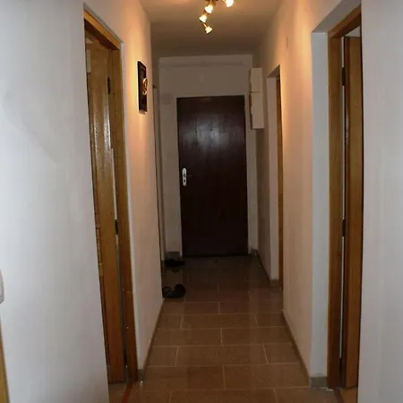 Papito * 뇌프브리작